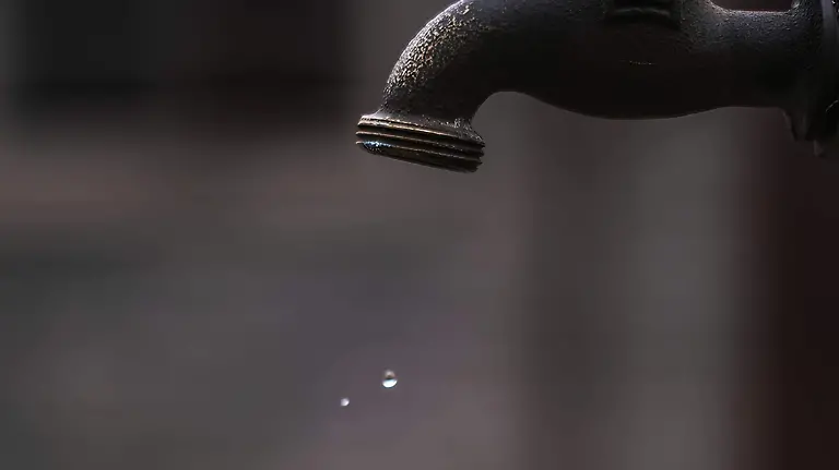 01 PORTADA unsplash_walter randlehoff (2)