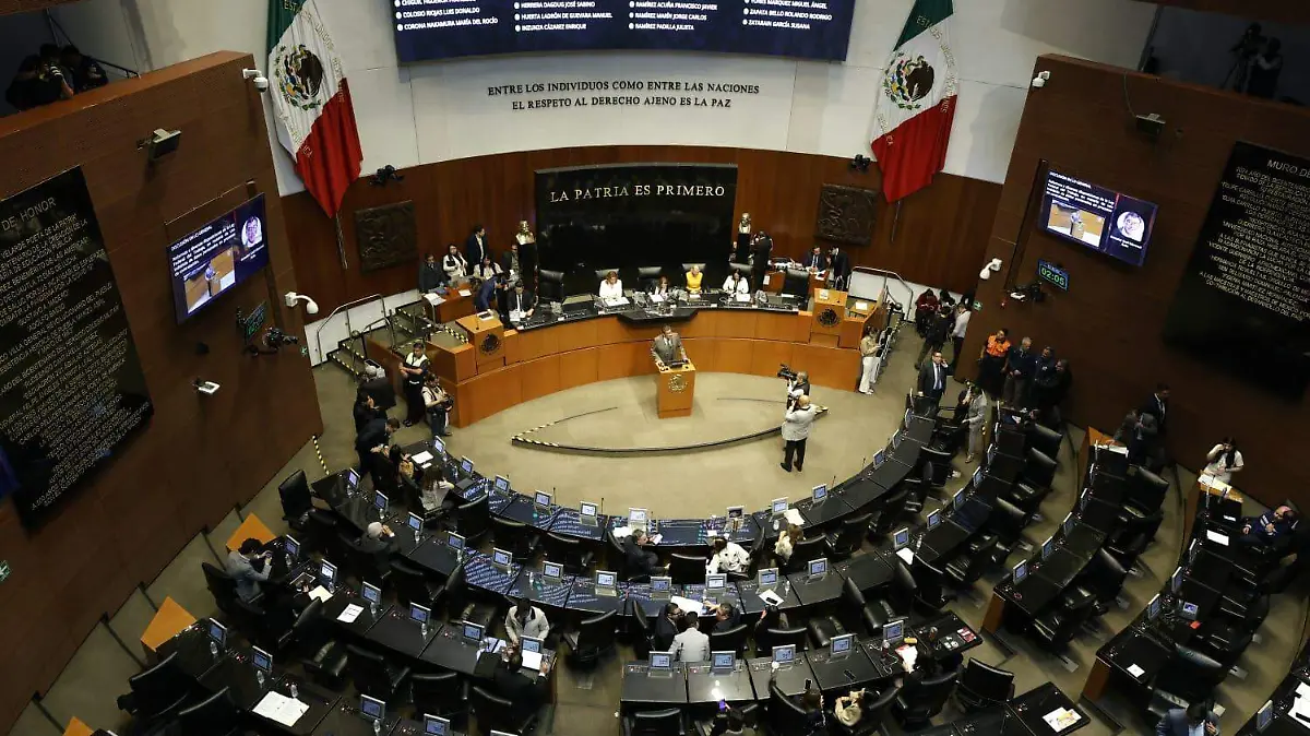 WhatsApp Image 2026-03-24 at 2.26.34 PM