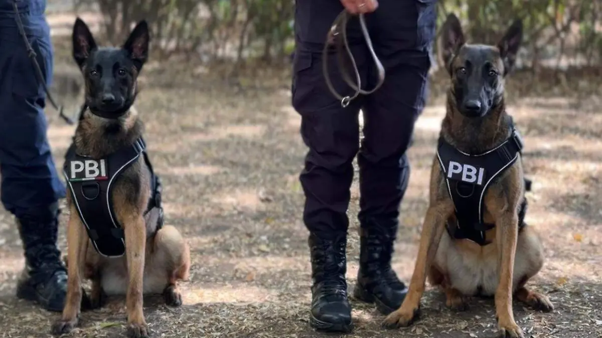 WhatsApp Image 2026-03-25 at 9.14.33 AM (1)