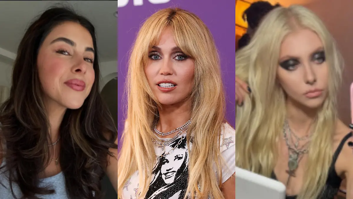 Diseño sin título