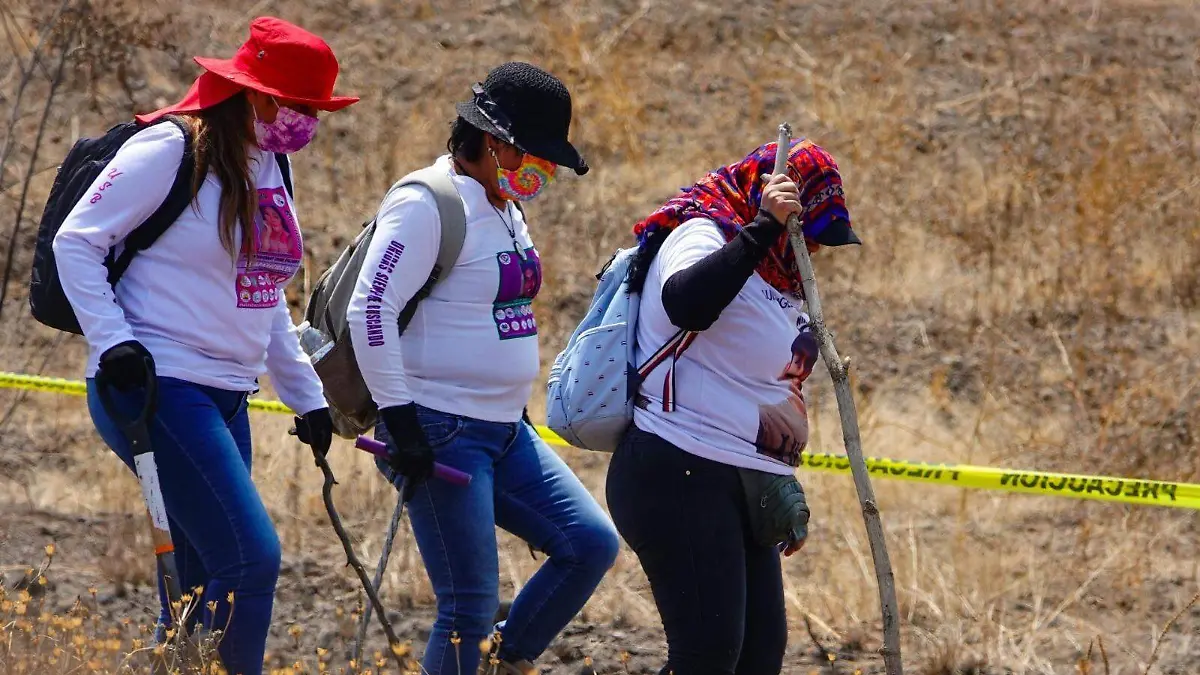 WhatsApp Image 2026-03-25 at 5.05.04 PM (1)