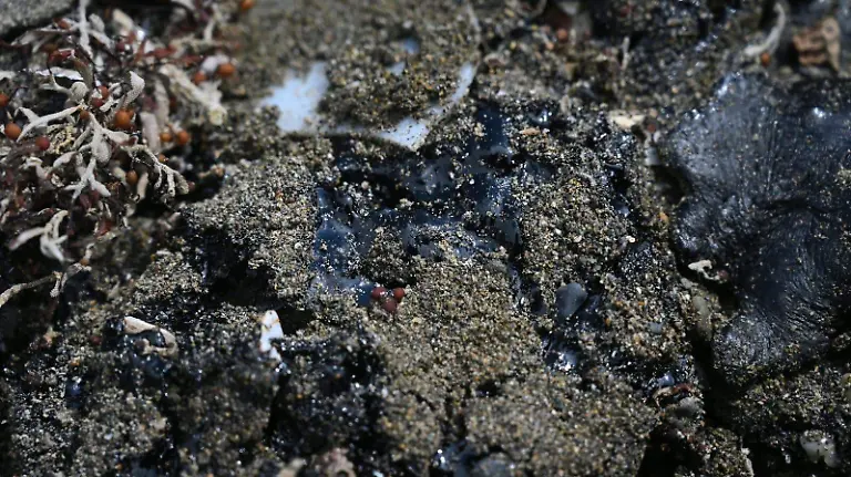 WhatsApp Image 2026-03-25 at 4.53.55 PM