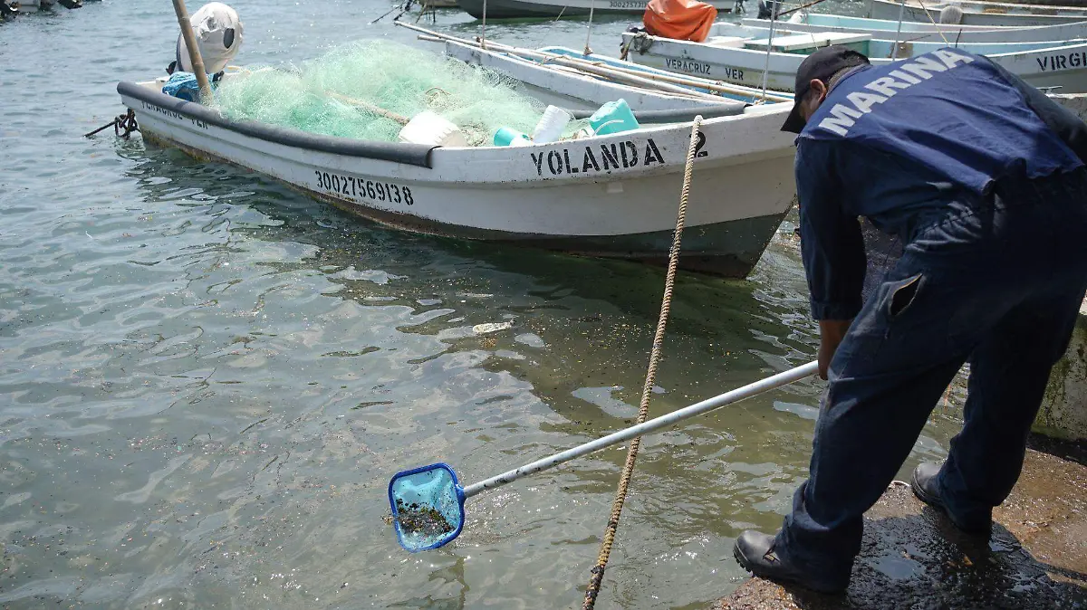 1074944_Veracruz Limpieza Hidrocarburo_web