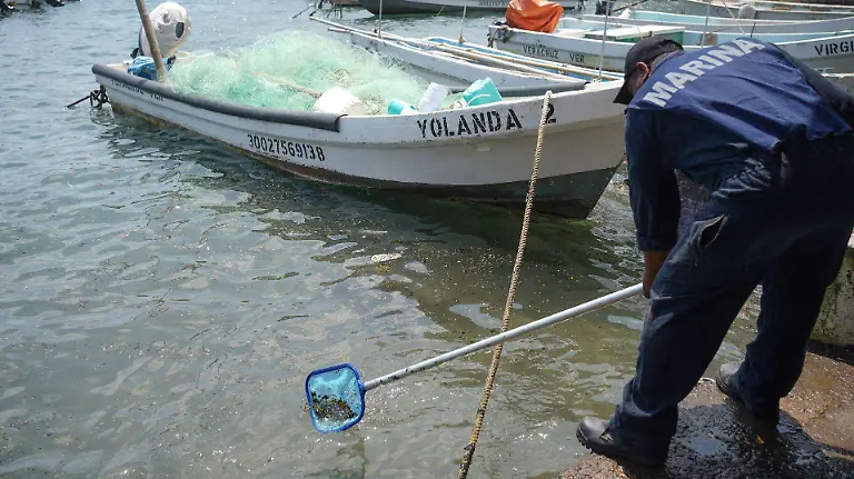 1074944_Veracruz Limpieza Hidrocarburo_web