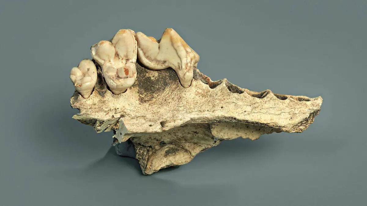 07e9eb9efa10818635a3b8716b473122cf843816w