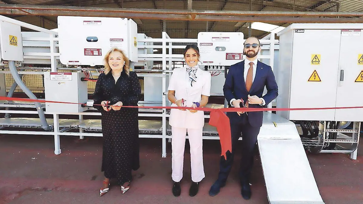 Inauguración paneles solares OEM