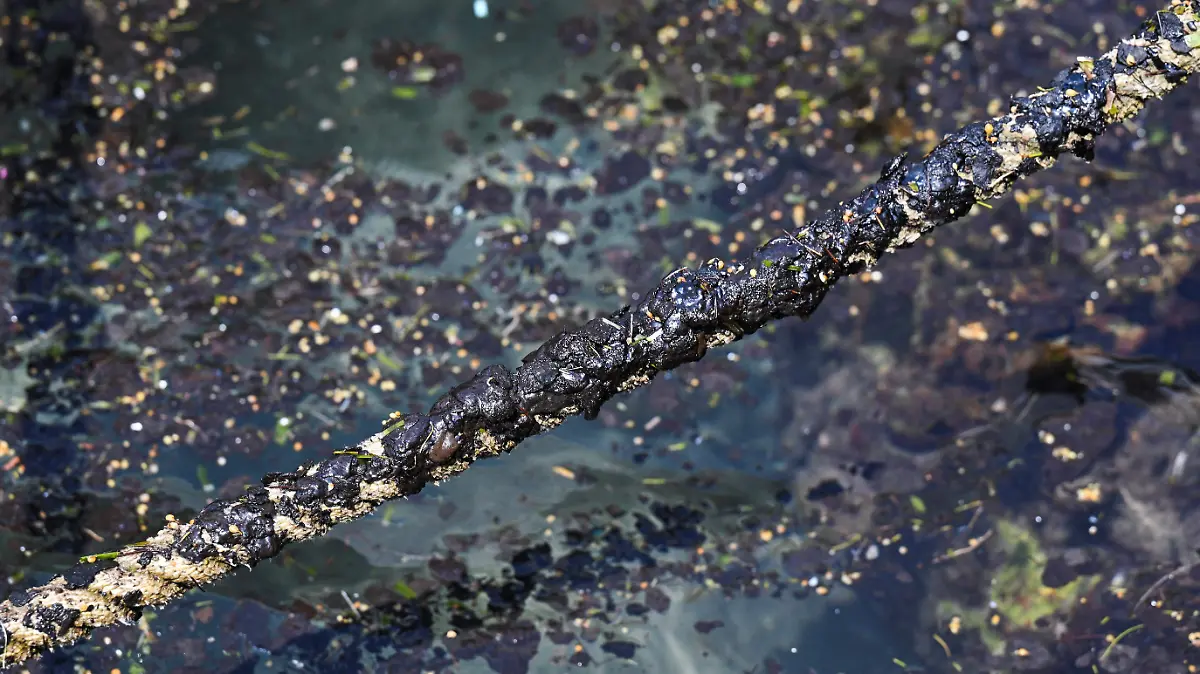 2026-03-25T030227Z_1989866205_RC25BKADZPQG_RTRMADP_3_MEXICO-OIL-SPILL