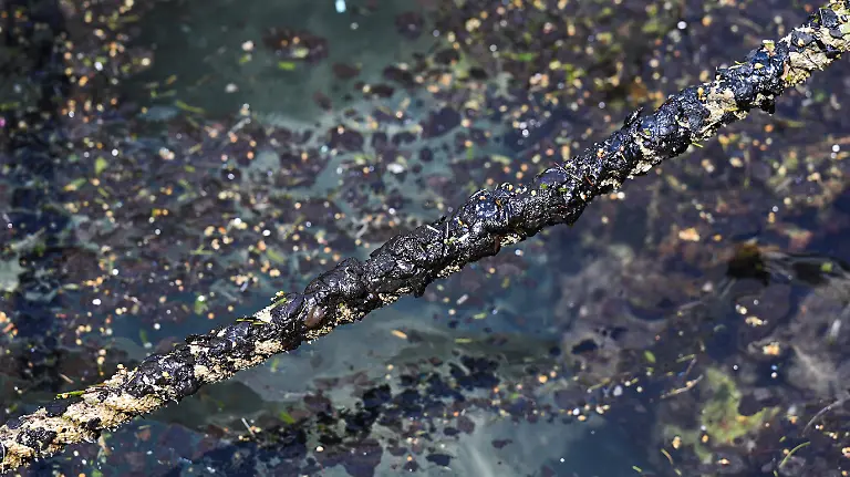 2026-03-25T030227Z_1989866205_RC25BKADZPQG_RTRMADP_3_MEXICO-OIL-SPILL