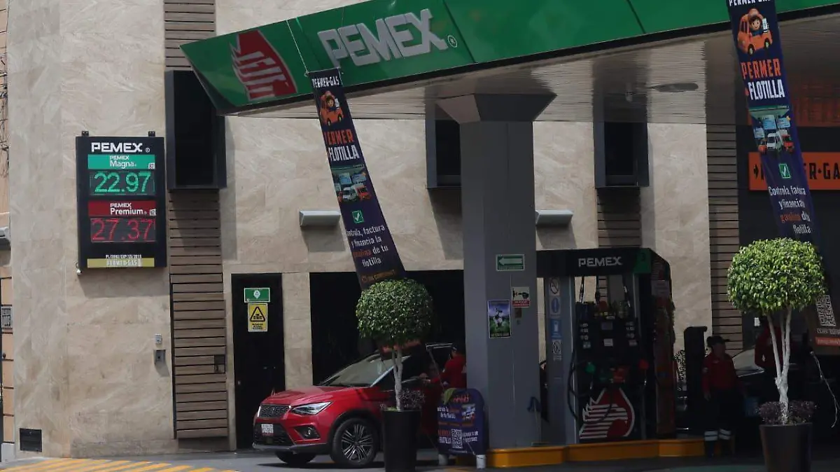 WhatsApp Image 2026-03-24 at 2.32.43 PM