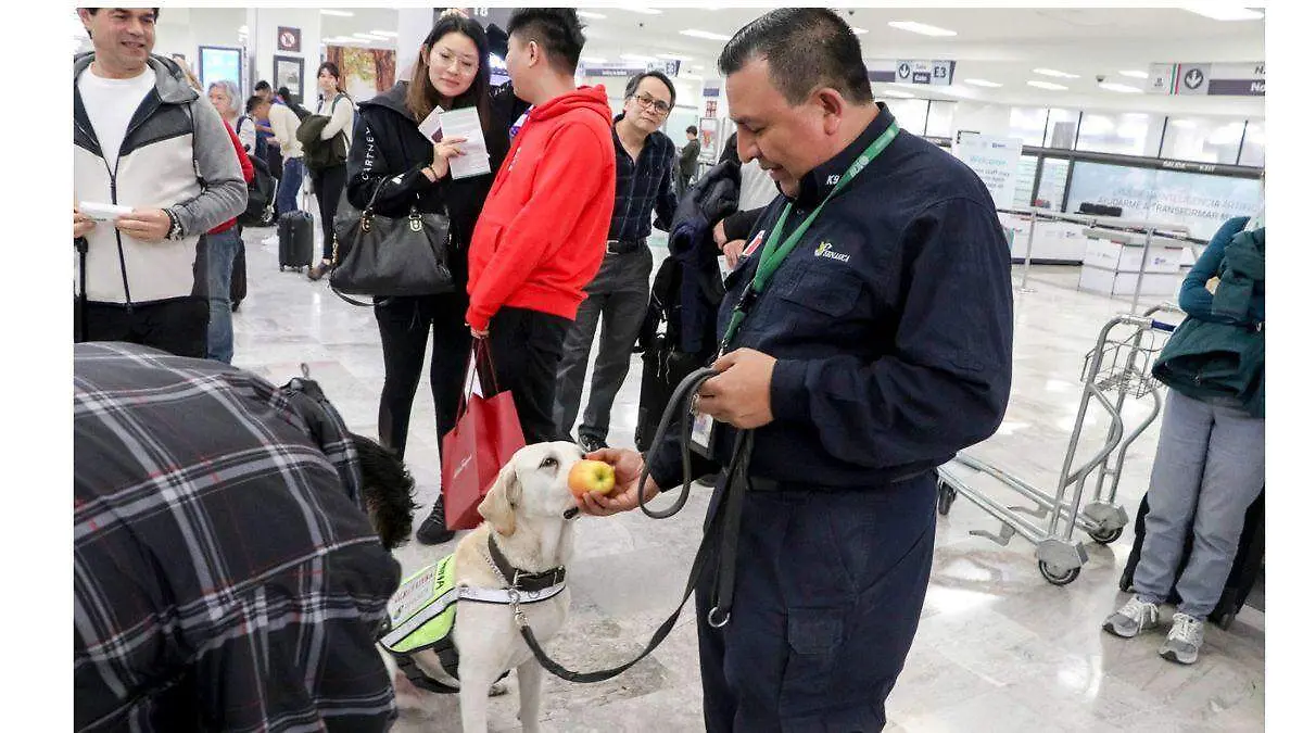 Senasica refuerza inspección 2