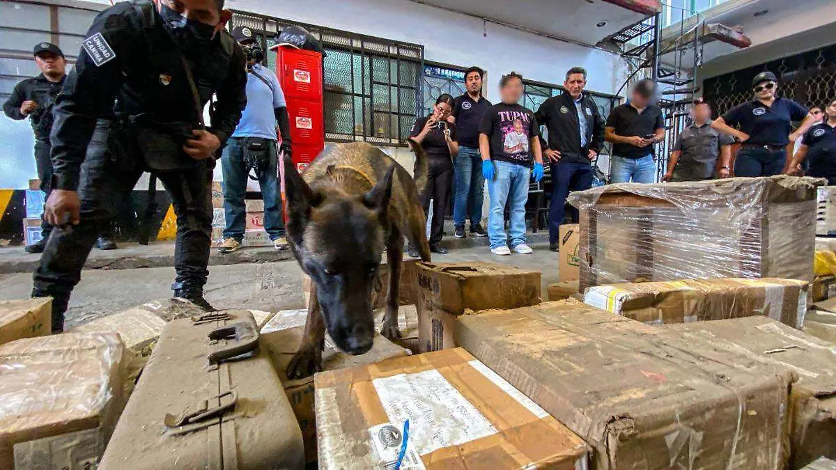 1Operativo en paqueterías de Oaxaca detecta envío de drogas y armas