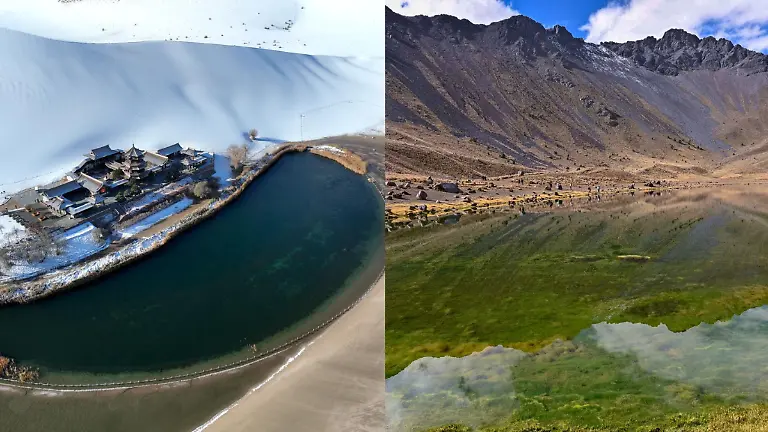 Diseño sin título (20)