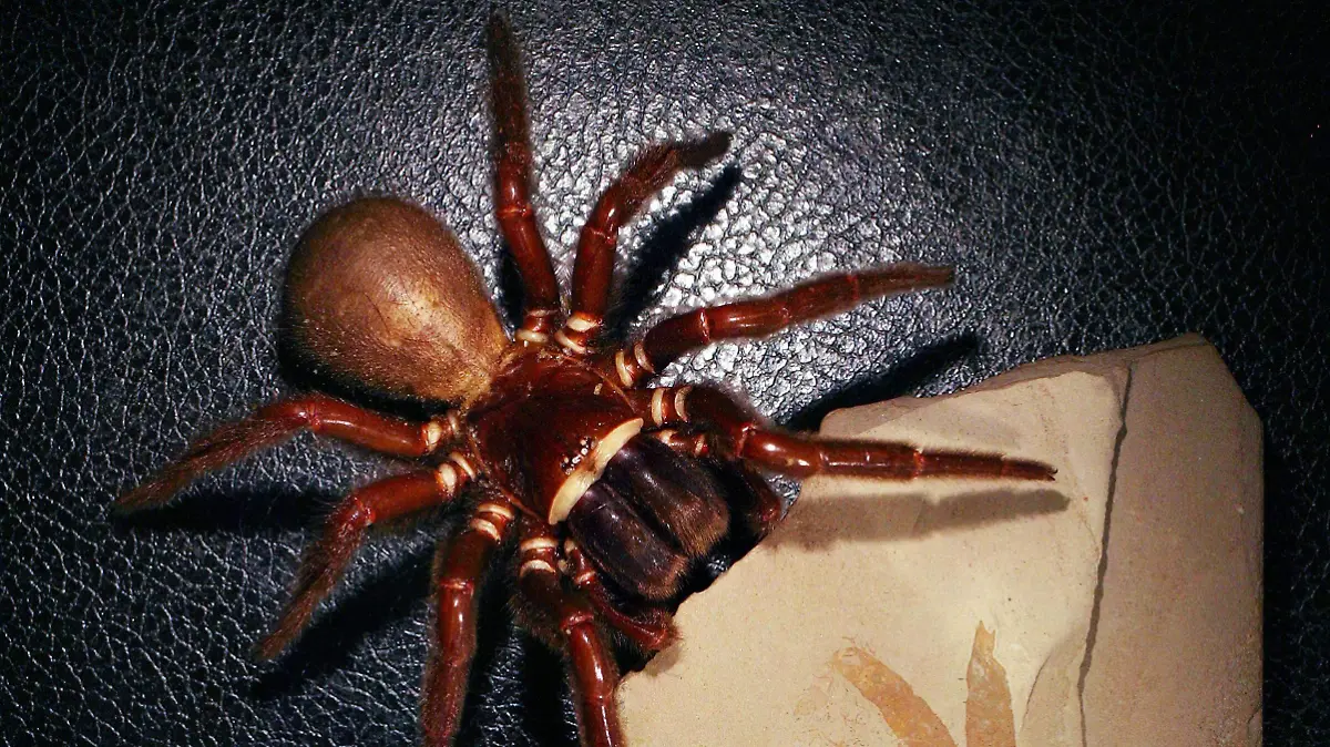 99b5b58fd1855466757a07194552780132bf43b9