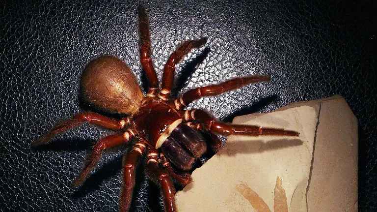 99b5b58fd1855466757a07194552780132bf43b9