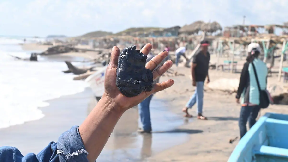 WhatsApp Image 2026-03-26 at 12.02.02 PM