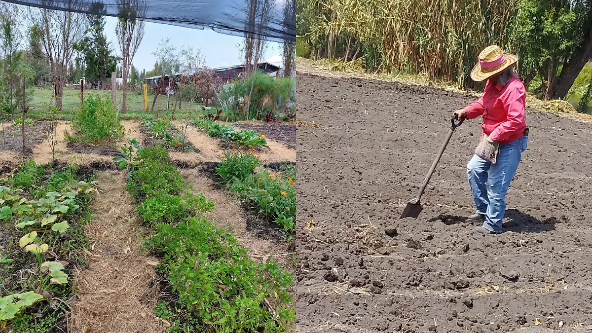 Diseño sin título (1)