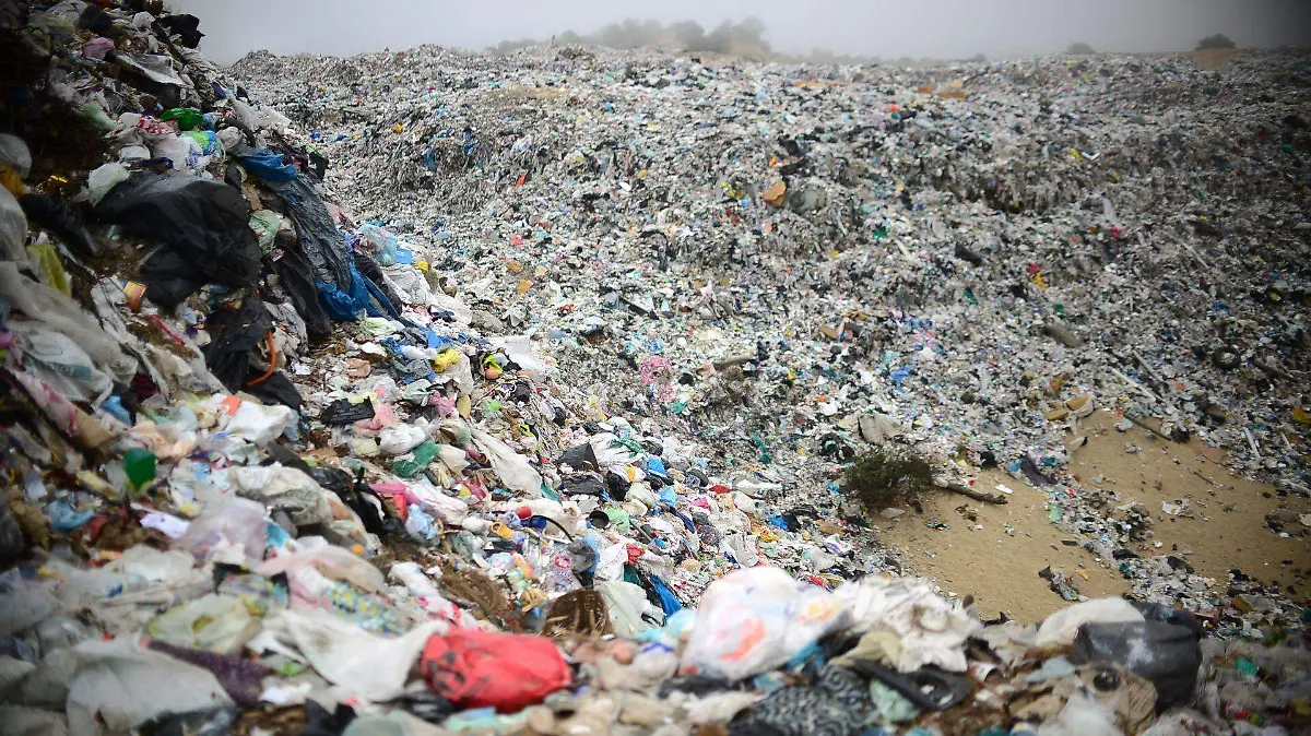 695662_Basurero Clandestino Maguellitos_web