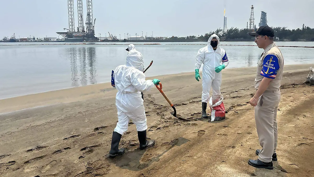 WhatsApp Image 2026-04-03 at 18.15.40 (1)