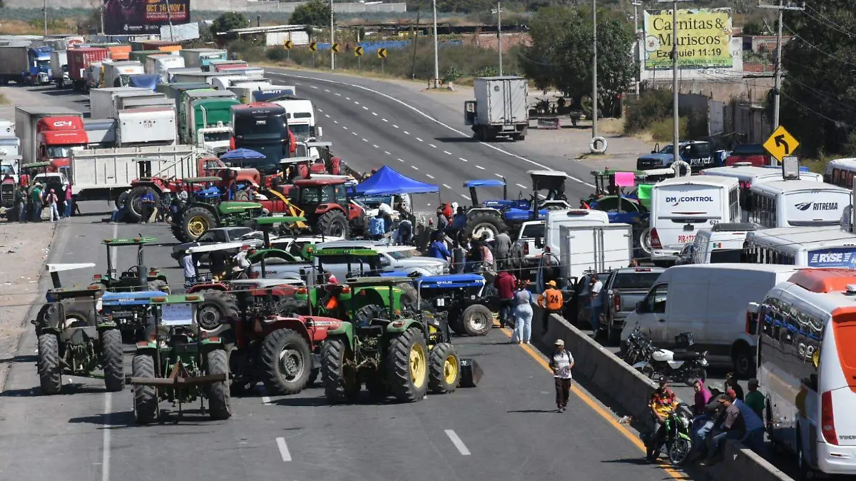 WhatsApp Image 2026-04-05 at 20.33.07