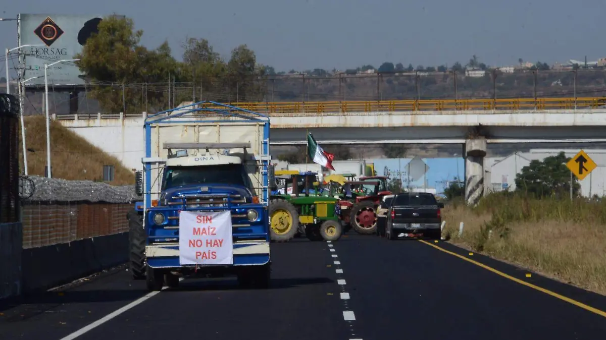 WhatsApp Image 2026-04-05 at 20.33.28