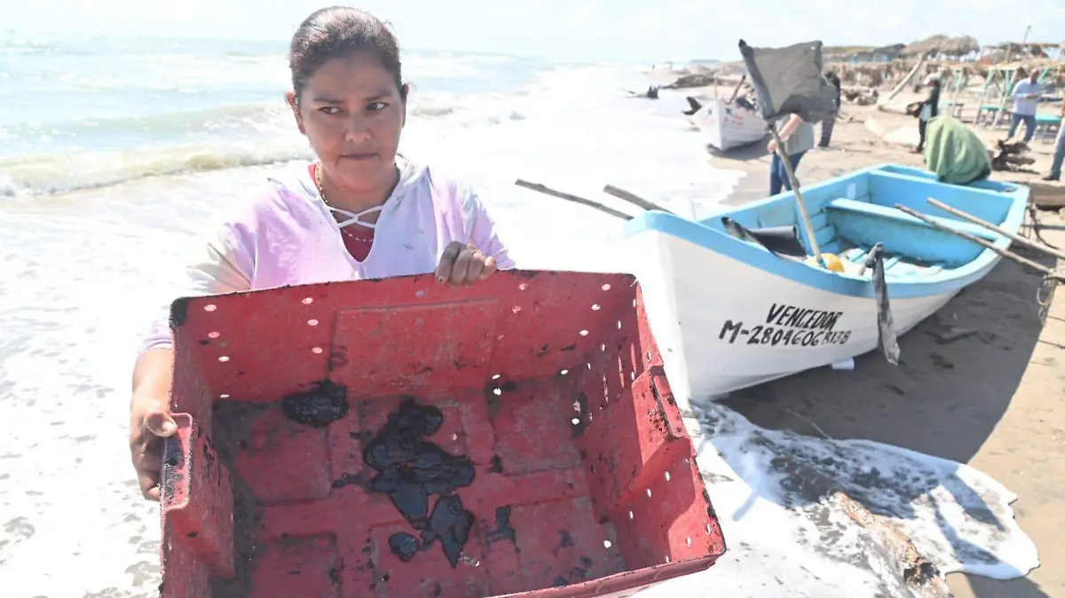 WhatsApp Image 2026-03-26 at 12.02.03 PM