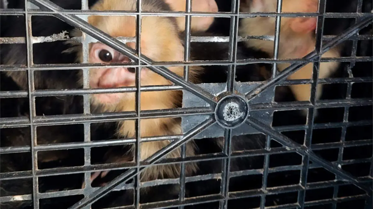 WhatsApp Image 2026-04-06 at 2.26.22 PM (1)