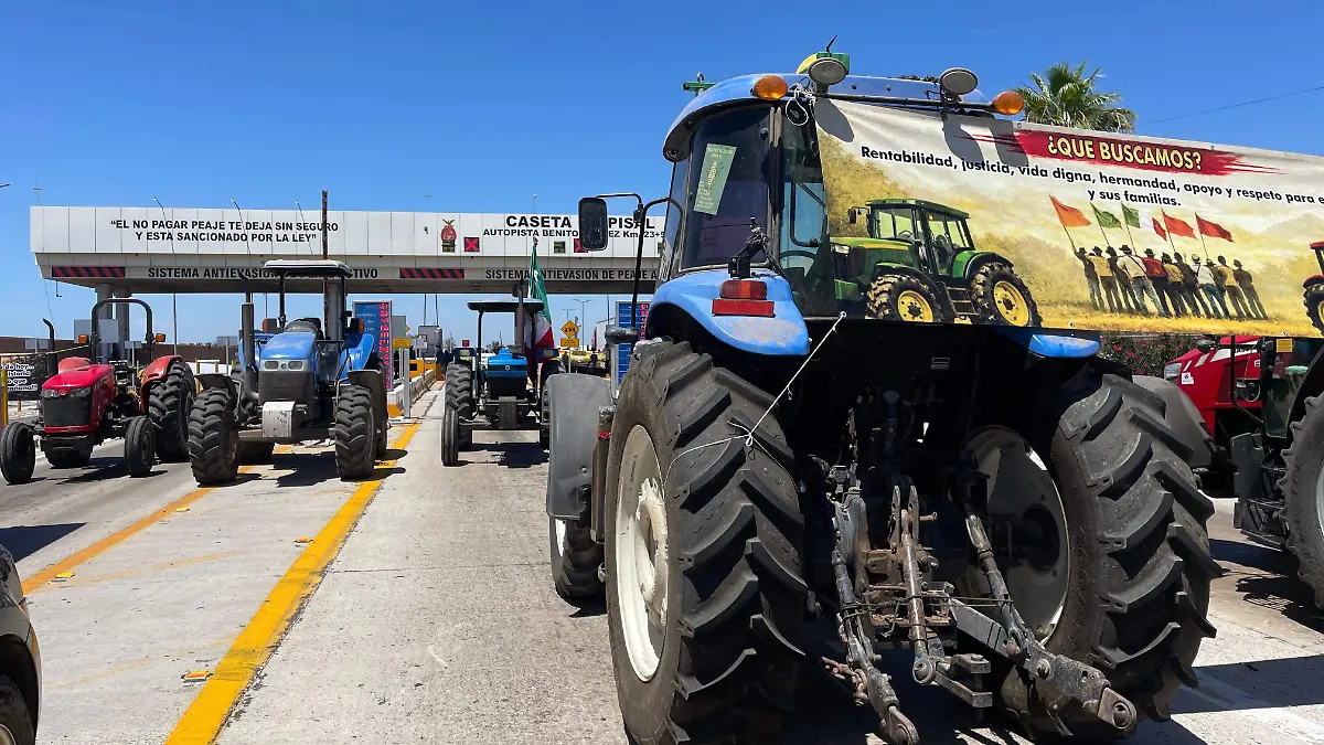 WhatsApp Image 2026-04-06 at 13.55.46