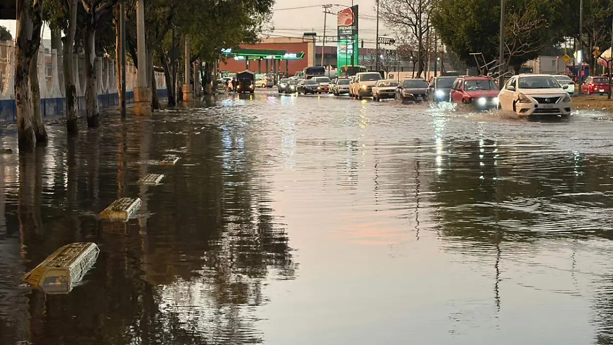 WhatsApp Image 2026-04-07 at 7.51.50 PM