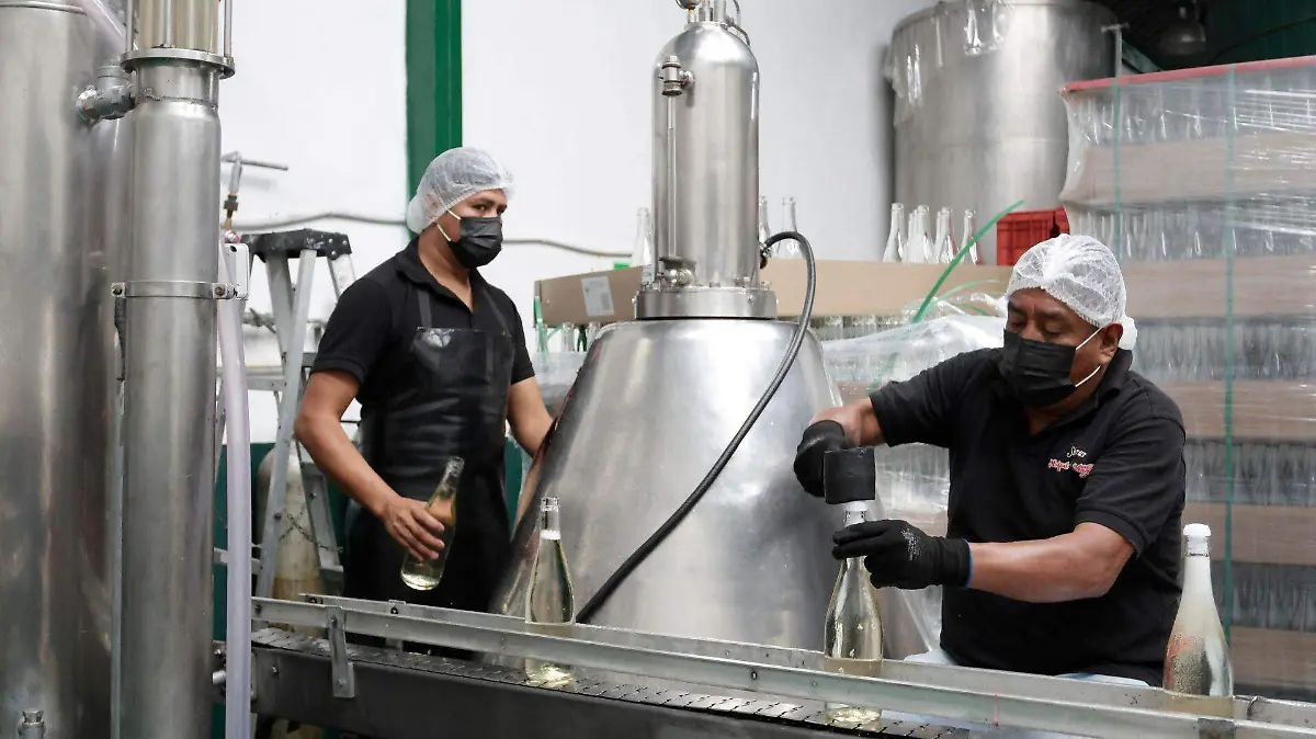 1062551_Elaboración Sidra_web