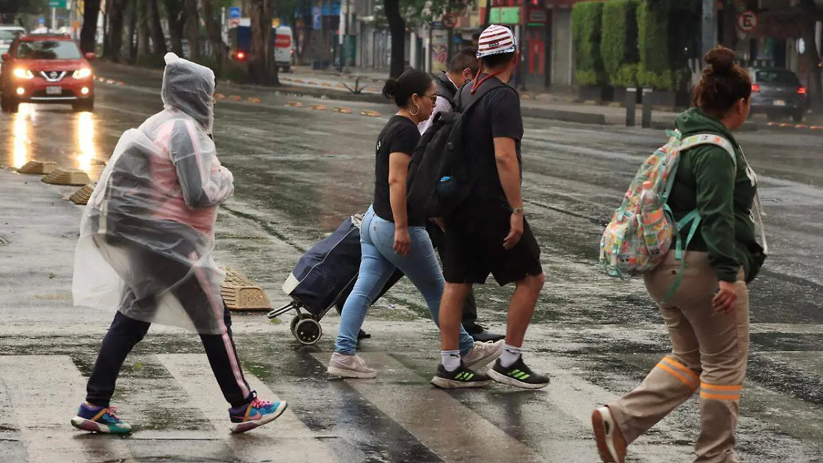 WhatsApp Image 2026-04-07 at 4.50.10 PM