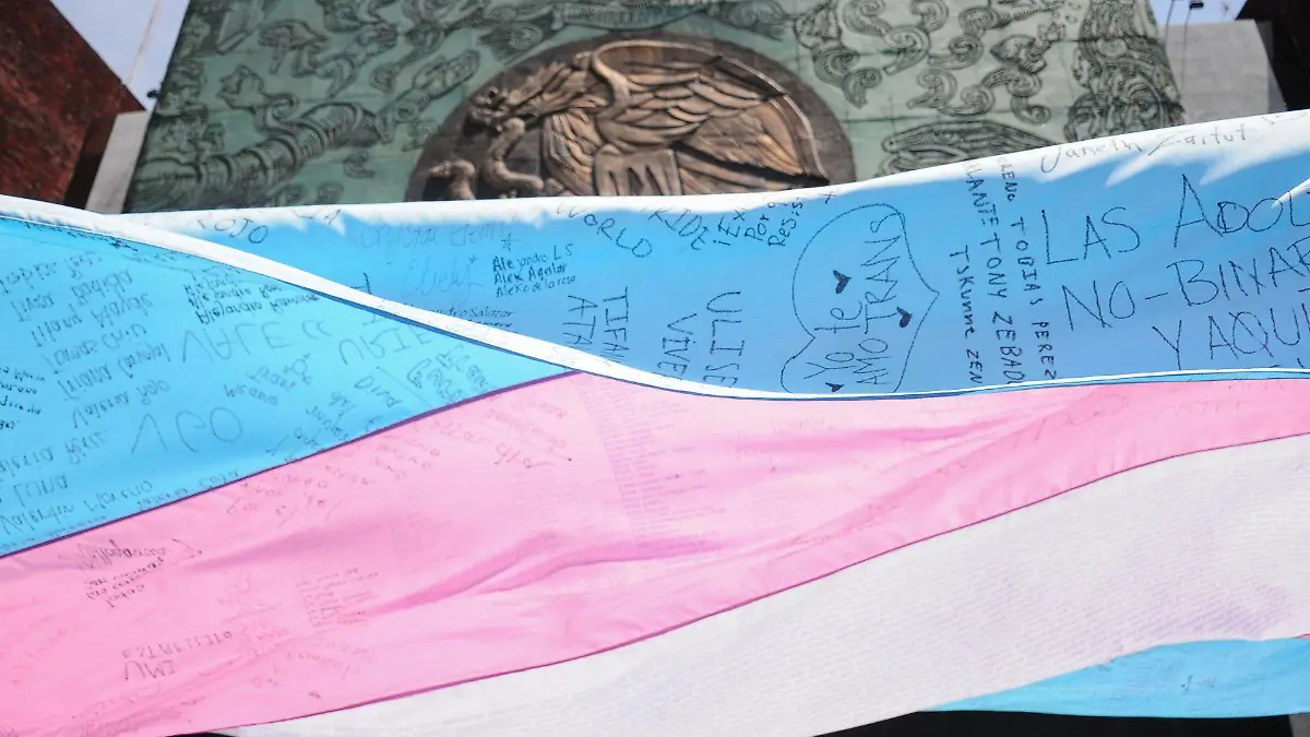 866267_Visibilidad Trans Diputados_web