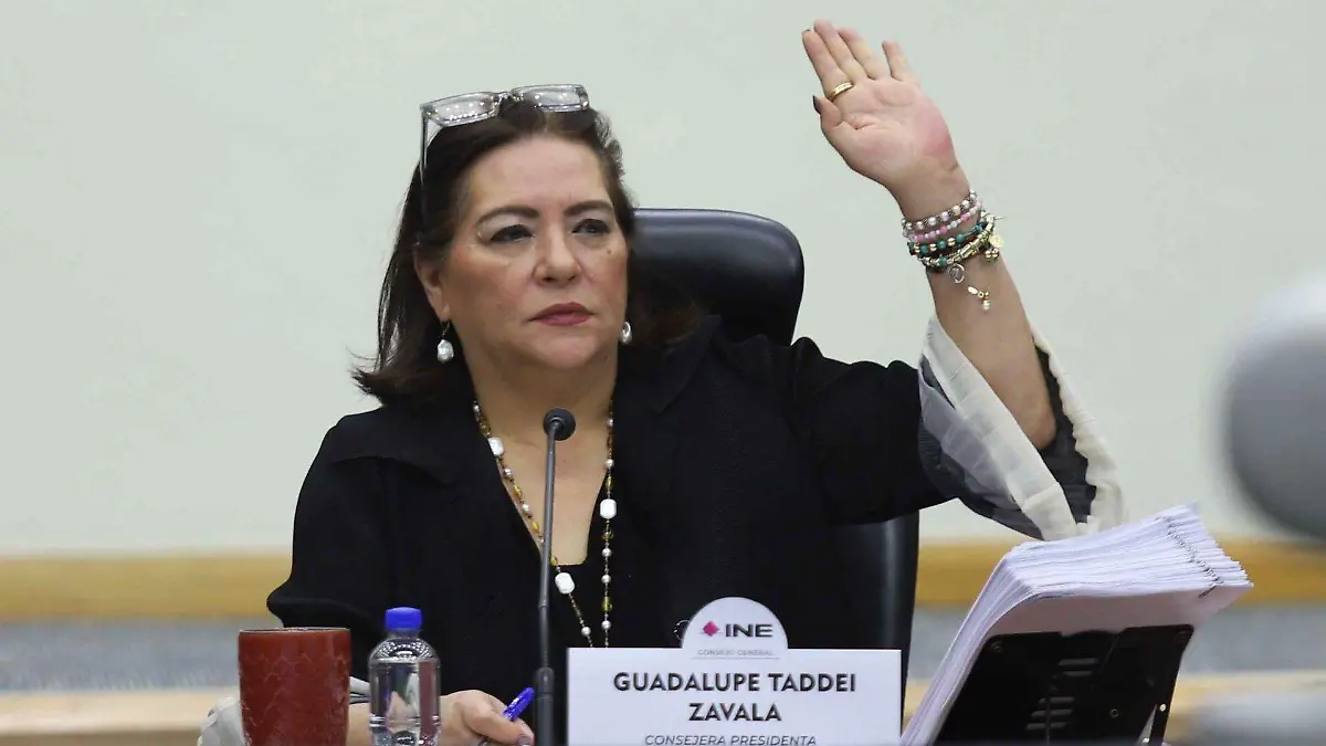 1075105_Sesión Ordinaria INE_web