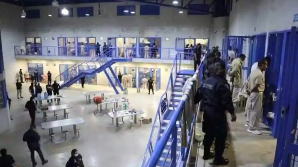 WhatsApp Image 2026-04-10 at 10.18.08 PM