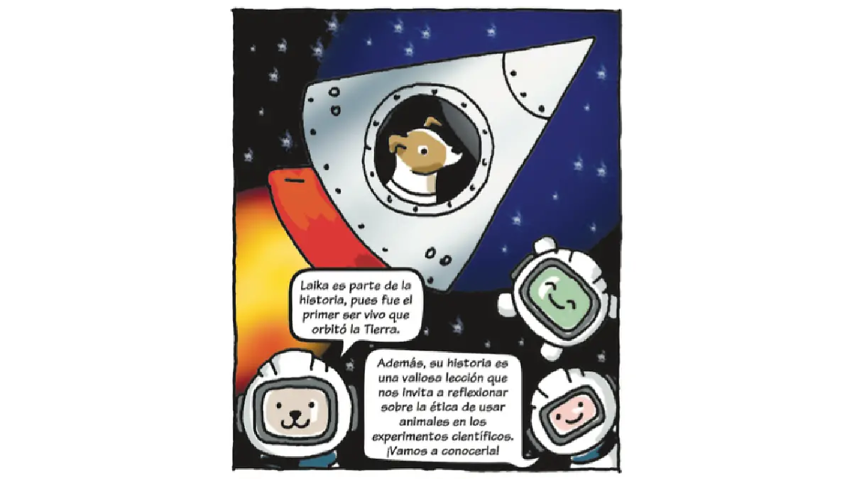 Pedacitos Laika 2.png