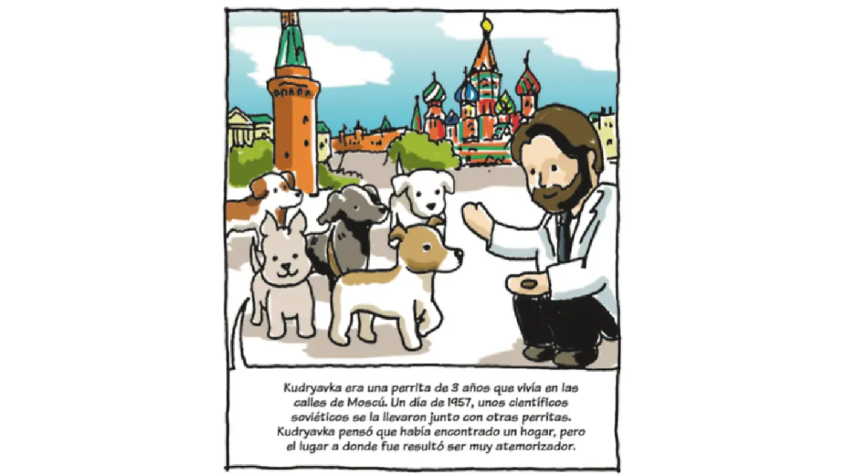 Pedacitos Laika 3.png