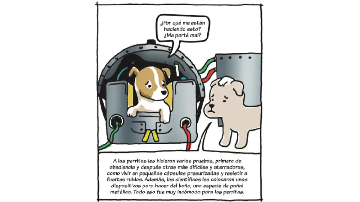 Pedacitos Laika 4.png