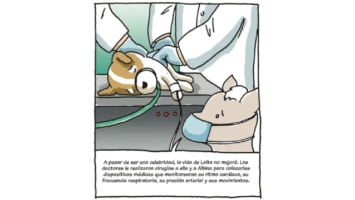 Pedacitos Laika 6.png