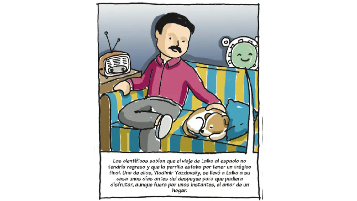 Pedacitos Laika 7.png