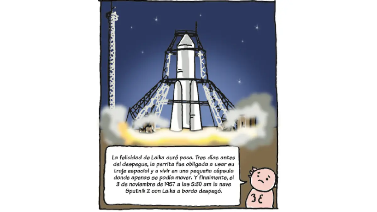 Pedacitos Laika 8.png