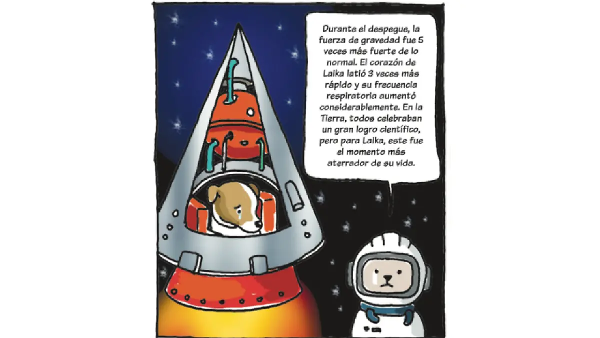 Pedacitos Laika 9.png