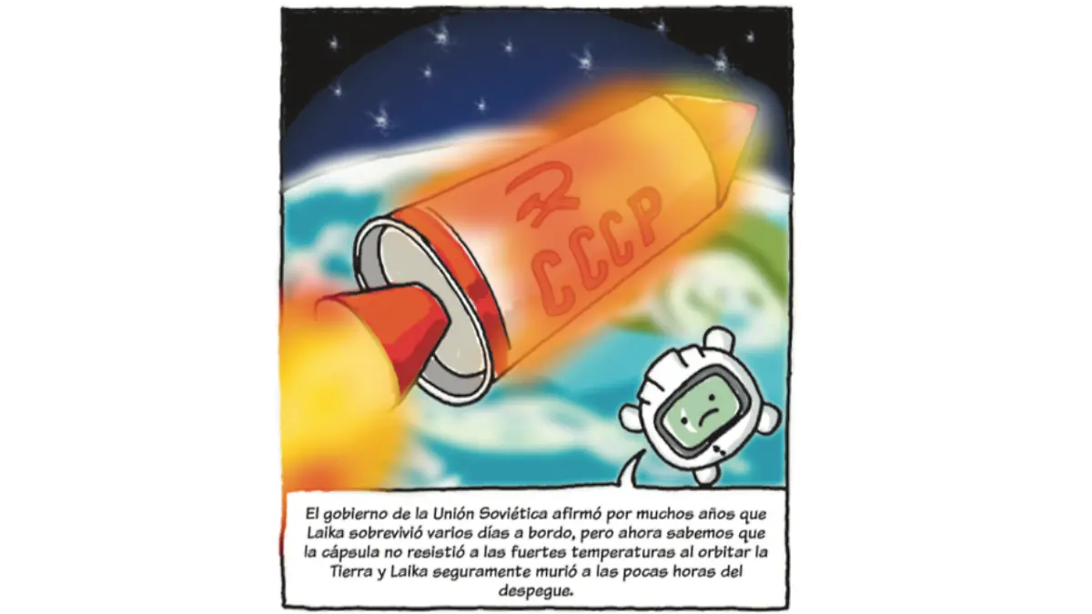 Pedacitos Laika 10.png