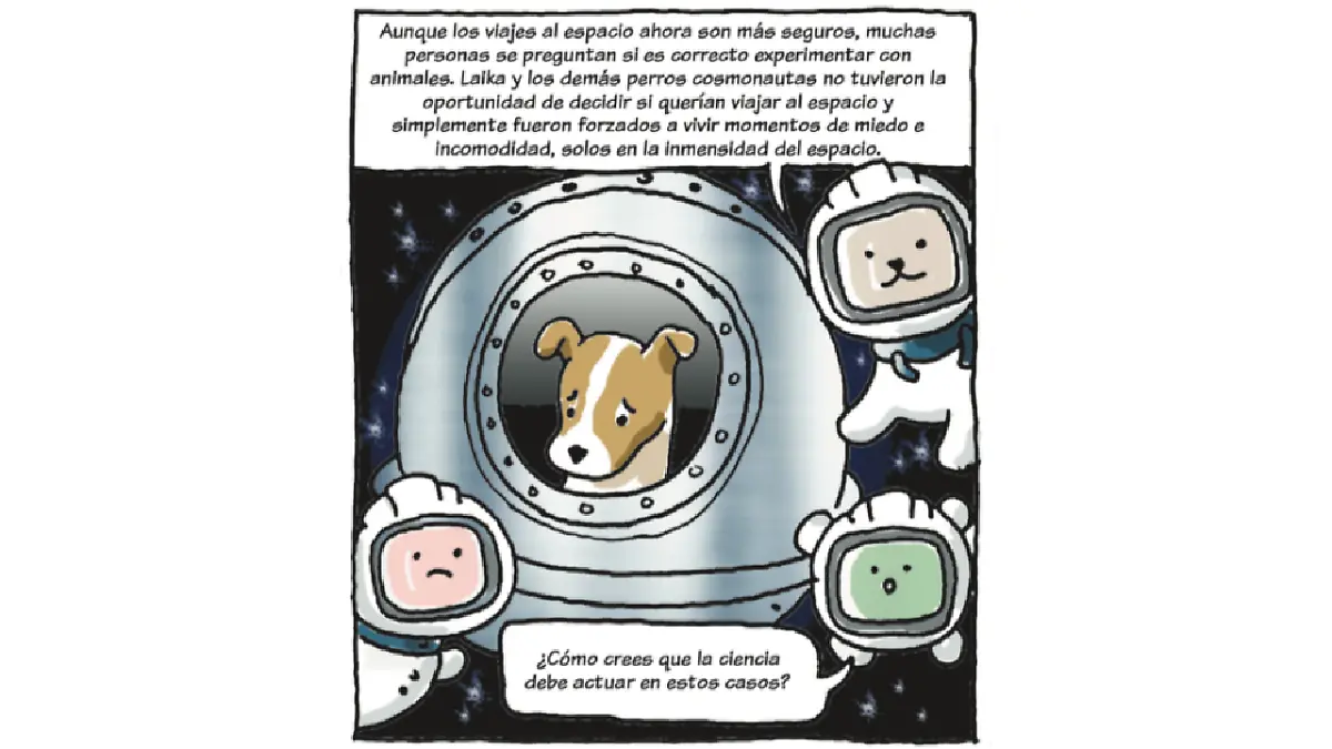 Pedacitos Laika 13.png