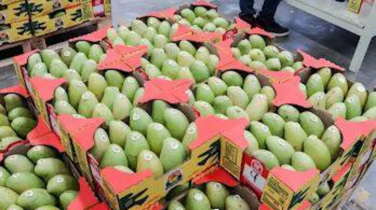 WhatsApp Image 2026-04-12 at 1.28.07 PM