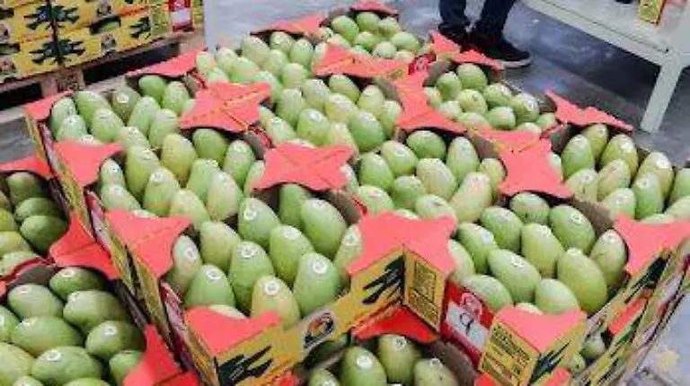 WhatsApp Image 2026-04-12 at 1.28.07 PM