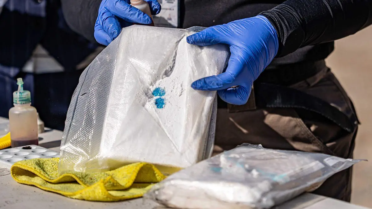 1075021_Incineración droga Tijuana_web