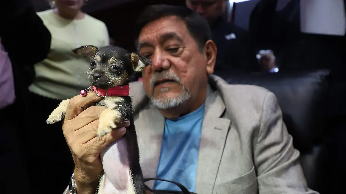 1072911_Sesión Senado Pensiones_impreso