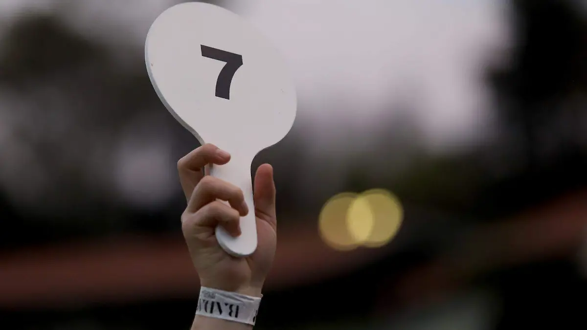 916673_Subasta terremoto Turquía y Siria_web