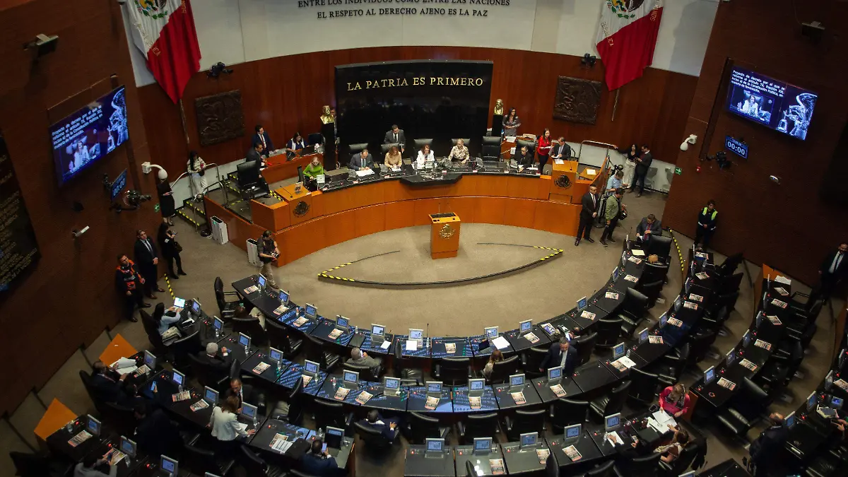 1077571_Sesión Cámara de senadores_impreso
