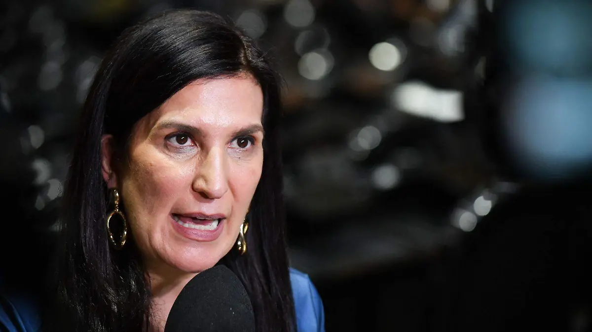 1076670_Sesión Diputados Derechos Autor_web