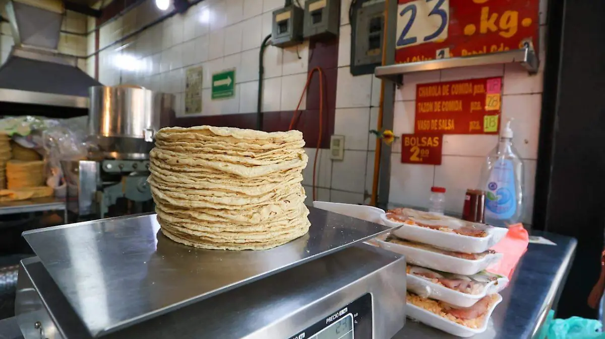 WhatsApp Image 2026-04-15 at 13.39.20